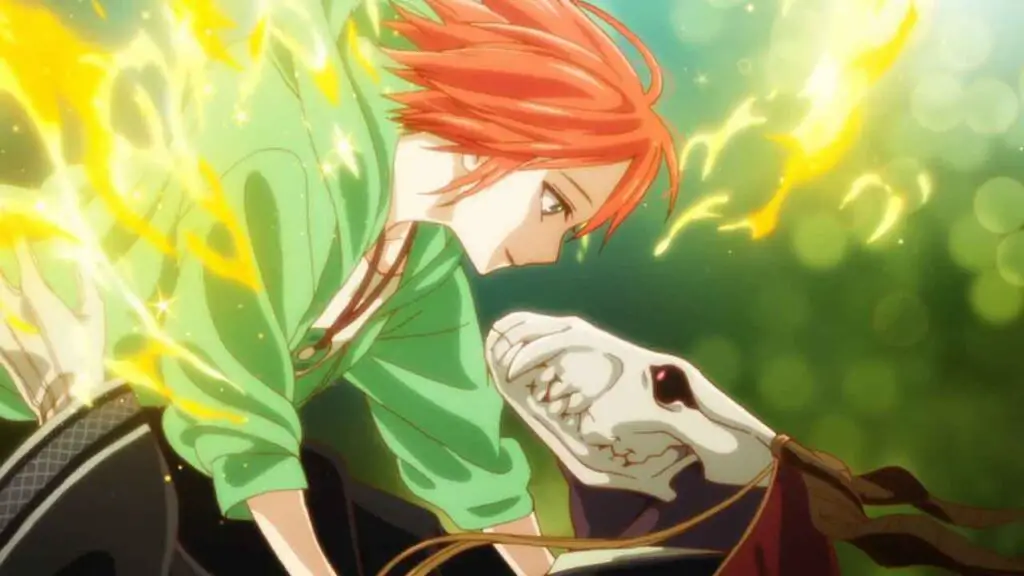 The ancient magus bride is supernatural romance where mc buys and saves the slave girl mc